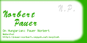 norbert pauer business card